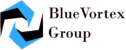 bluevortexgroup.com
